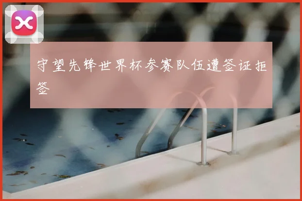 守望先锋世界杯参赛队伍遭签证拒签